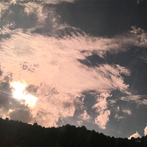 高中女学生的粉嫩小泬
